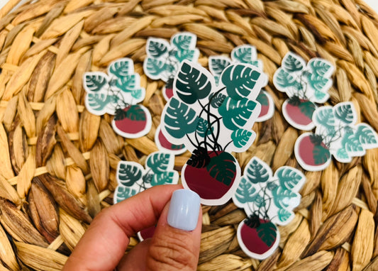 Monstera Plant Sticker
